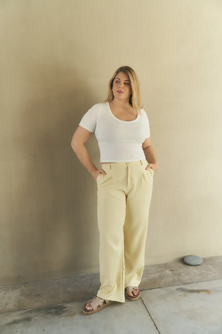 Pantalón wide leg jacinto con pinza delantera y bolsillo lateral de Lemmon en Pantalones para argentina