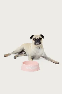 Bowl para perro bone appetit de Edikted en Porta X para argentina