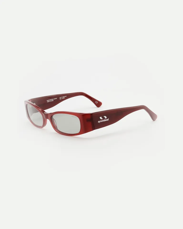 Gafas de acetato con patillas ajustables y lentes polarizadas UV100% para mujer de Ay Not Dead en Anteojos para argentina