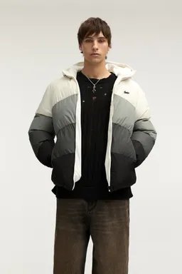 Campera acolchada paneles stwd de Pull&Bear en Abrigos y Camperas para argentina