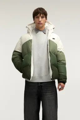 Campera acolchada paneles stwd de Pull&Bear en Abrigos y Camperas para argentina