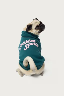 Buzo con capucha para perro de Edikted en Buzos y Sweaters para argentina