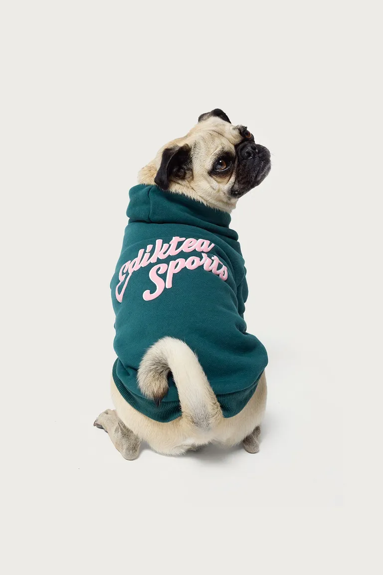 Buzo con capucha para perro de Edikted en Buzos y Sweaters para argentina