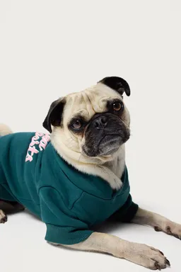 Buzo con capucha para perro de Edikted en Buzos y Sweaters para argentina
