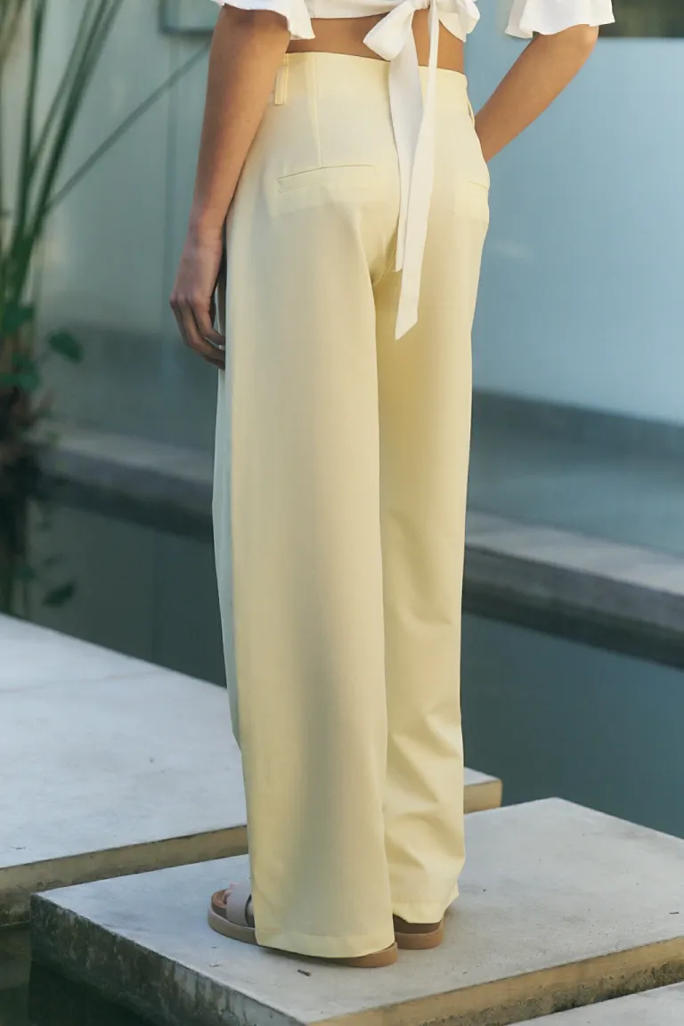 Pantalón wide leg en beige con detalles de bolsillos de Lemmon en Pantalones para argentina