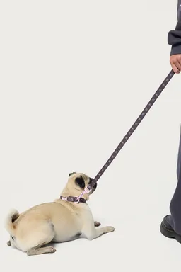 Correa bonney bow para perro de Edikted en Porta X para argentina