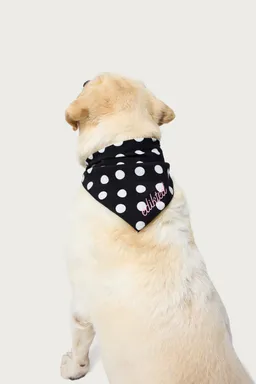 Pañuelo pawka dot para perro de Edikted en Bufandas y Pañuelos para argentina