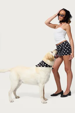 Pañuelo pawka dot para perro de Edikted en Bufandas y Pañuelos para argentina