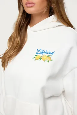 Buzo con capucha squeeze day de Edikted en Buzos y Sweaters para argentina