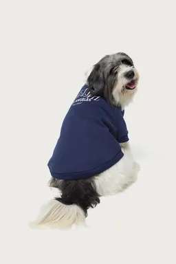 Buzo get dog de Edikted en Buzos y Sweaters para argentina