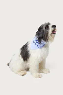 Bandana para perro bonney moño de Edikted en Bufandas y Pañuelos para argentina