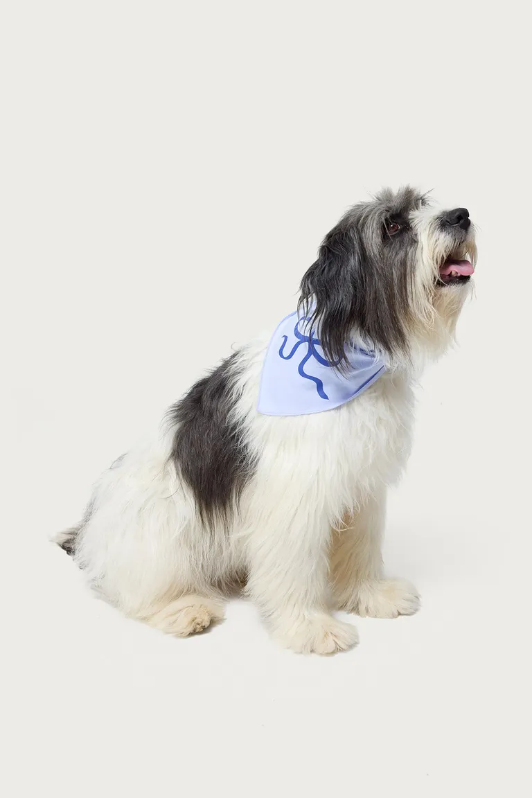 Bandana para perro bonney moño de Edikted en Bufandas y Pañuelos para argentina