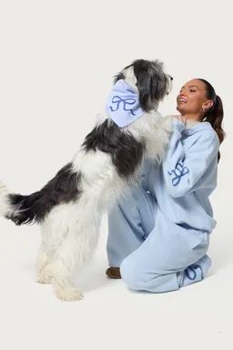 Bandana para perro bonney moño de Edikted en Bufandas y Pañuelos para argentina
