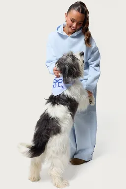 Bandana para perro bonney moño de Edikted en Bufandas y Pañuelos para argentina