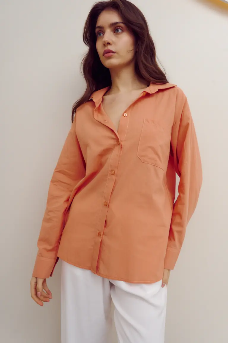 Camisa Básica de Lemmon en Camisas para argentina