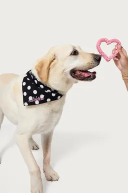 Juguete cuerda para cachorros de Edikted en Ropa Interior y Medias para argentina