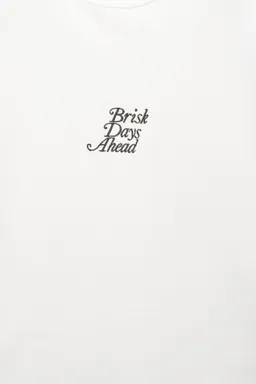 Camiseta brisk days ahead de Pull&Bear en Remeras y Polos para argentina