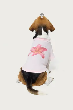 Remera para perro daylily de Edikted en Remeras para argentina