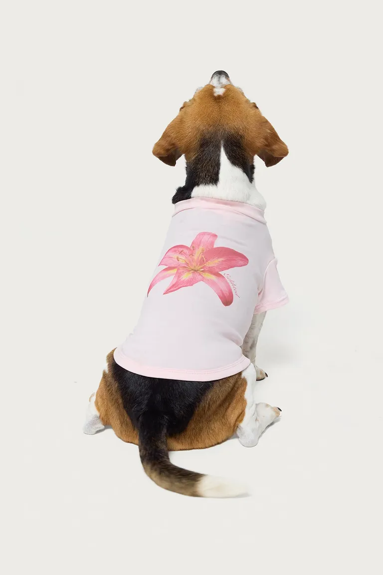Remera para perro daylily de Edikted en Remeras para argentina