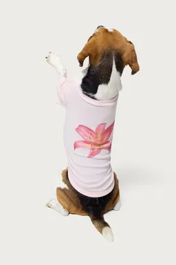 Remera para perro daylily de Edikted en Remeras para argentina