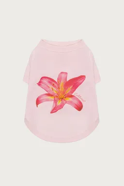 Remera para perro daylily de Edikted en Remeras para argentina