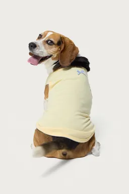 Musculosa pawfect para perro de Edikted en Tops para argentina