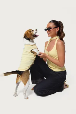 Musculosa pawfect para perro de Edikted en Tops para argentina