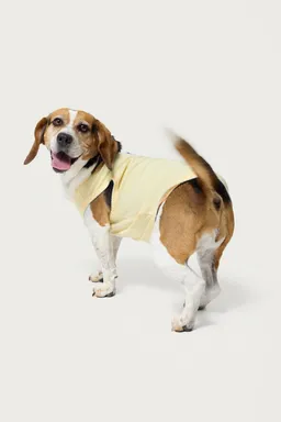 Musculosa pawfect para perro de Edikted en Tops para argentina