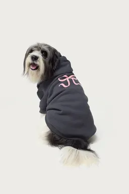 Buzo con moño para perro de Edikted en Buzos y Sweaters para argentina