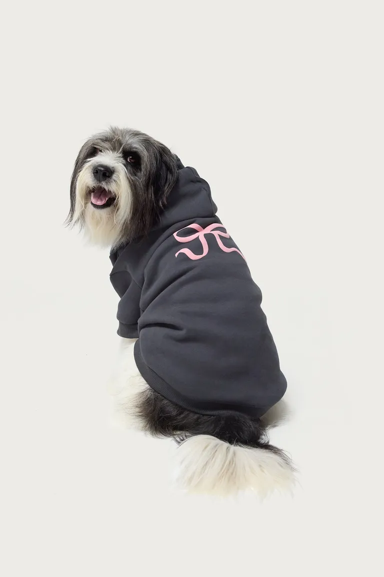 Buzo con moño para perro de Edikted en Buzos y Sweaters para argentina