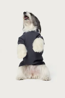 Buzo con moño para perro de Edikted en Buzos y Sweaters para argentina