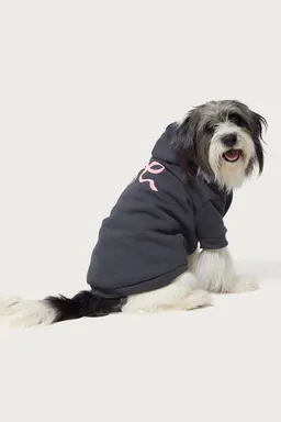 Buzo con moño para perro de Edikted en Buzos y Sweaters para argentina