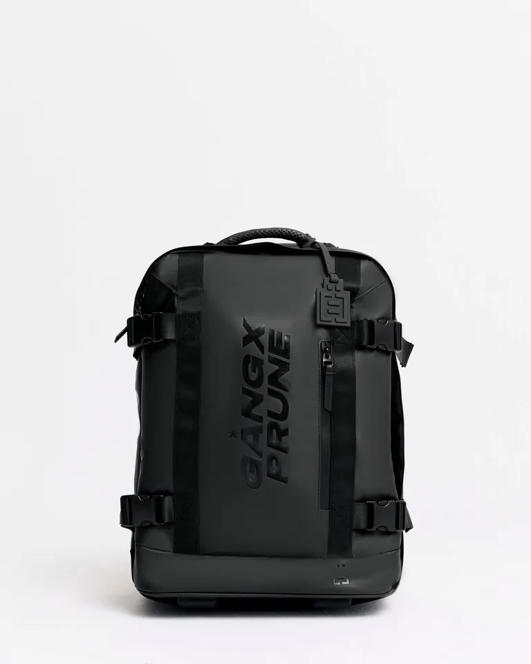 Mochila de viaje urbana, impermeable y con sistema de ruedas para un transporte cómodo de Prüne en Mochilas para argentina