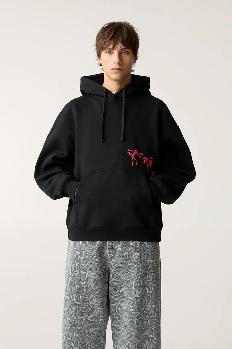 Sudadera capucha rick y morty de Pull&Bear en Buzos y Sweaters para argentina