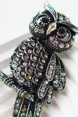 Prendedor buho con strass de Exotica Accesorios en Bijouterie para argentina