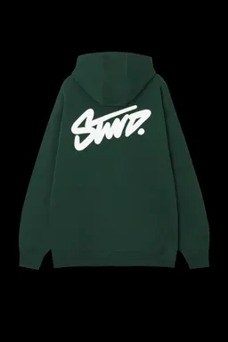 Sudadera capucha stwd de Pull&Bear en Buzos y Sweaters para argentina