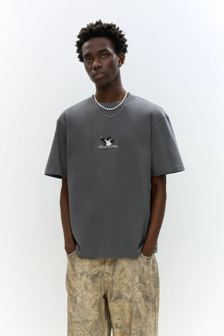 Remera gráfico pato de Pull&Bear en Remeras y Polos para argentina