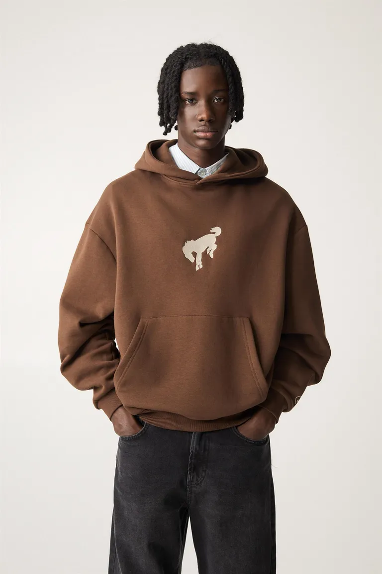 Sudadera caballo ford bronco de Pull&Bear en Buzos y Sweaters para argentina