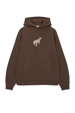 Sudadera caballo ford bronco de Pull&Bear en Buzos y Sweaters para argentina