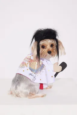 Disfraz mascota elvis viva vegas de Fashion Nova en Chalecos para argentina