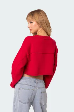 Sweater corto estilo universitario de Edikted en Buzos y Sweaters para argentina