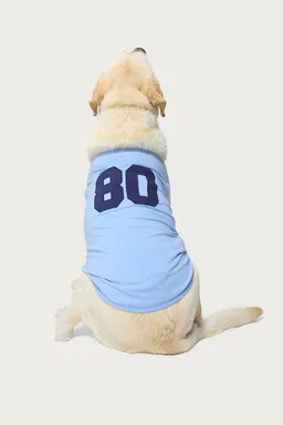 Musculosa retro para mascota de Edikted en Remeras para argentina