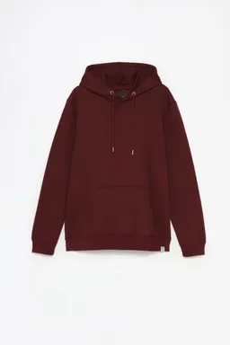Sudadera básica con capucha de Lefties en Buzos y Sweaters para argentina