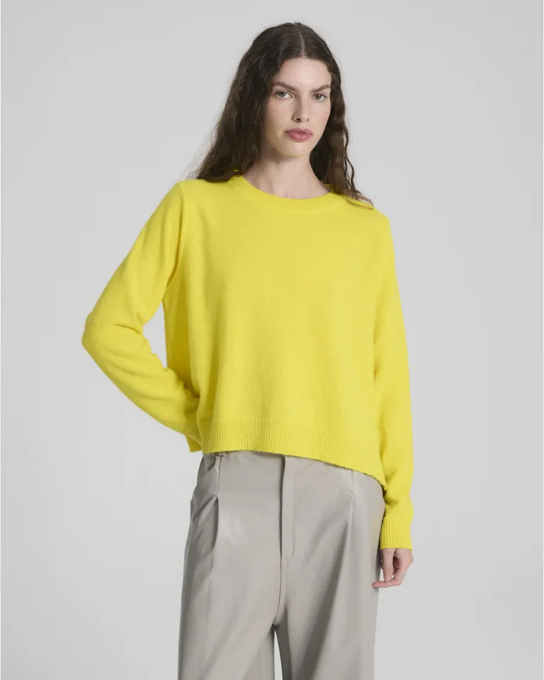 Sweater tejido de cuello redondo y mangas largas con diseño clásico de Blue Sheep en Buzos y Sweaters para argentina