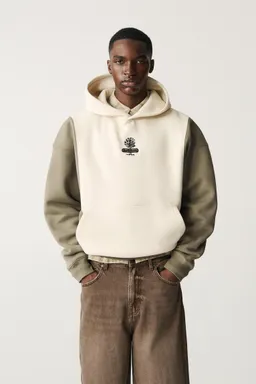 Sudadera capucha mangas contraste de Pull&Bear en Buzos y Sweaters para argentina