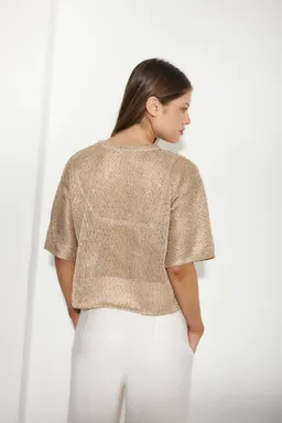 Remerón paloma de Audaz en Remeras para argentina
