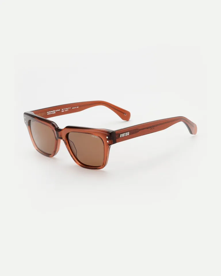 Gafas de sol de acetato premium con lentes polarizados marrones y diseño adaptable de Ay Not Dead en Anteojos para argentina