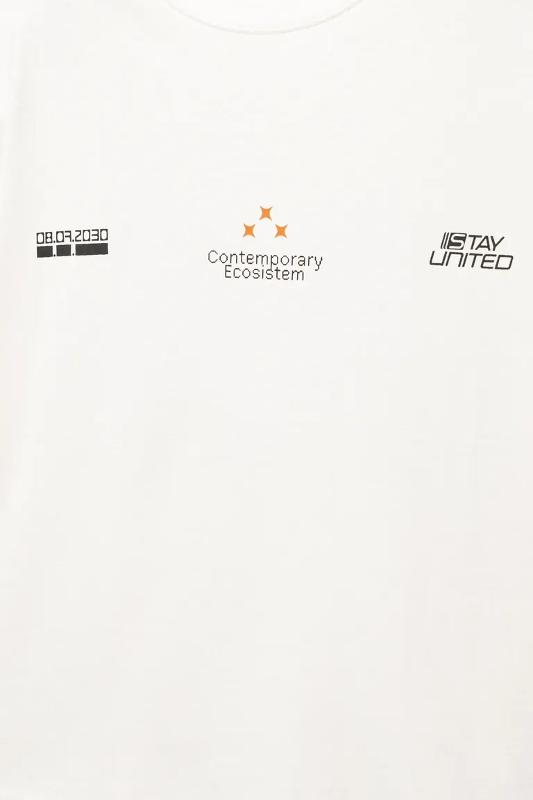 Camiseta stwd ecosistema de Pull&Bear en Remeras y Polos para argentina
