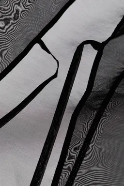 Top organza mangas globo de H&M en Tops para argentina